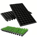 10-20nursery tray, greenhouse germination and growth tray, courtyard, lawn, gardening, planting nursery, agricultural plant