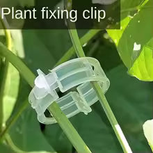 Wholesale 100/500PCS Reusable Plastic Plant Support Clips Protection Grafting Fixing Tools for Vegetable Tomato Garden Supplies