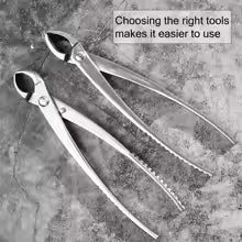 1PC, Multifunctional Gardening Ball Shear Bonsai Tool Round Pruning Pliers Bonsai Scissors Garden Bonsai Tools Scissors Tools