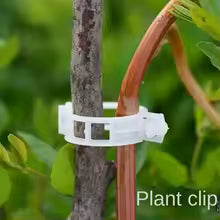 Wholesale 100/500PCS Reusable Plastic Plant Support Clips Protection Grafting Fixing Tools for Vegetable Tomato Garden Supplies