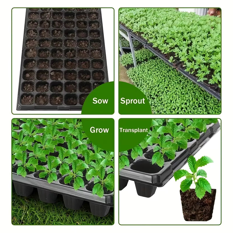 10-20nursery tray, greenhouse germination and growth tray, courtyard, lawn, gardening, planting nursery, agricultural plant