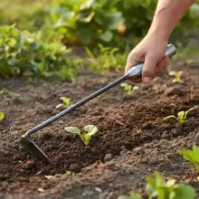 Crescent-shape Handheld Weeding Rake Durable Rust-Resistant Hand Hoe Weeding Digging Tool for Vegetable Gardens Planting