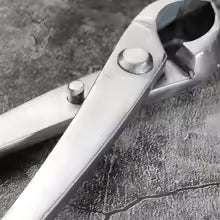 1PC, Multifunctional Gardening Ball Shear Bonsai Tool Round Pruning Pliers Bonsai Scissors Garden Bonsai Tools Scissors Tools